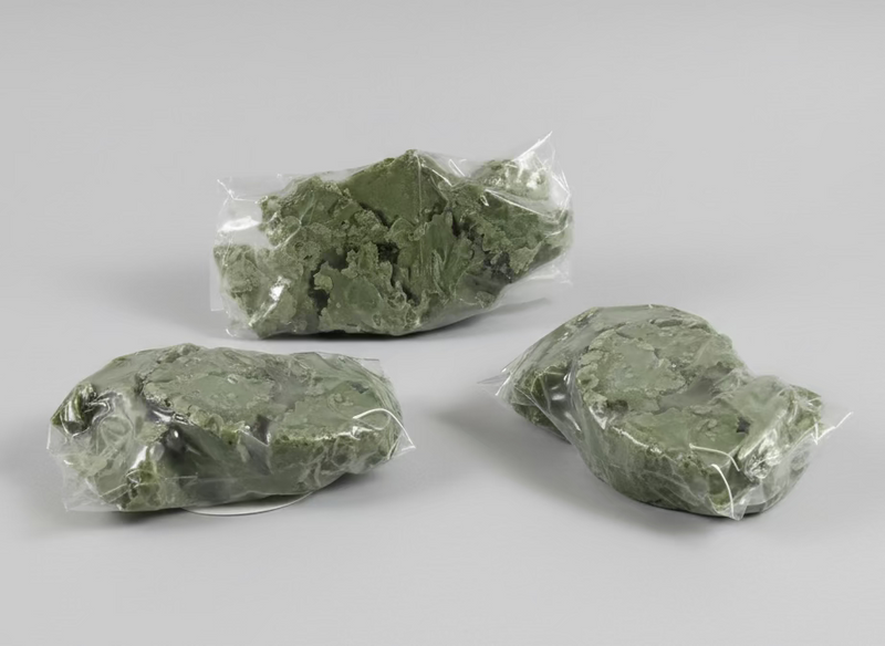 Piney Woods/Christmas Tree