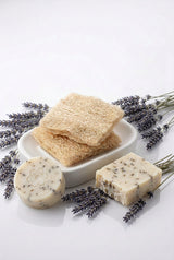 Suds & Scrub Accessories