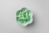 Shaped Wax Melts (Gummy Bears + Koi Fish)