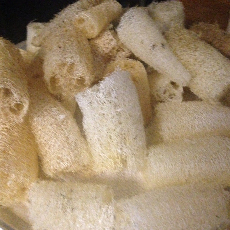 Raw Organic Loofah