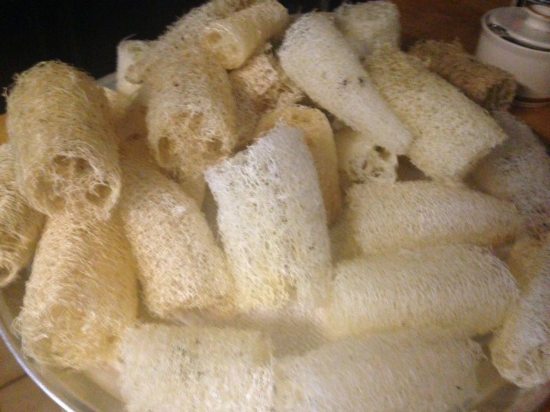 Raw Organic Loofah