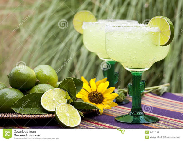 Margarita, Mixed Drink, Prohibition Libations